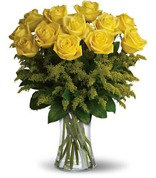 12 Glowing Roses from Maplehurst Florist, local flower shop in Essex Junction